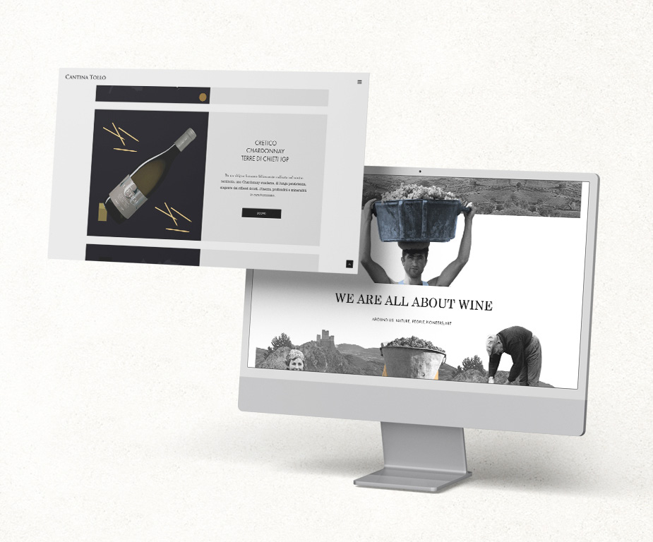 Cantina Tollo — immagine 7