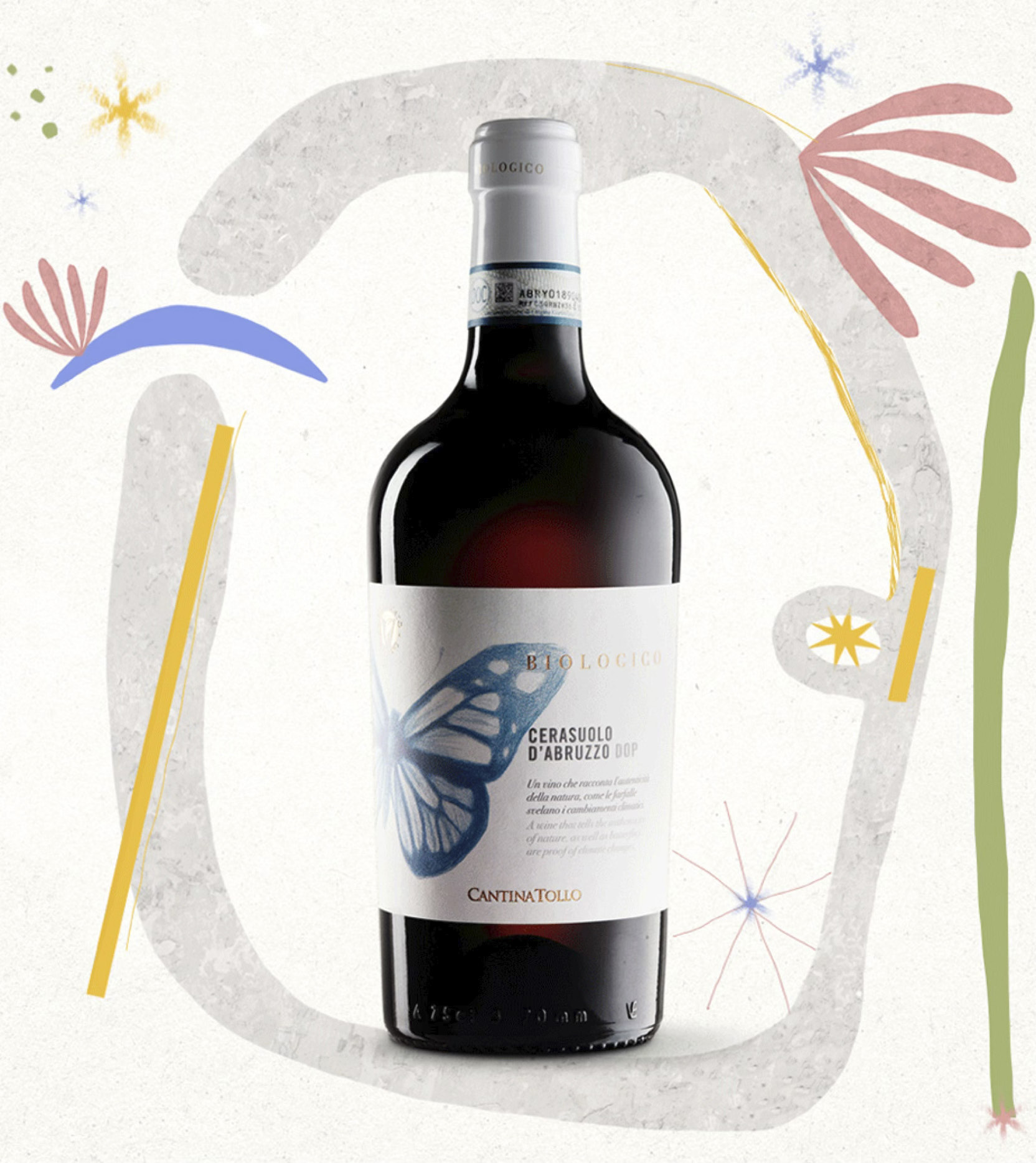 Cantina Tollo — immagine 5