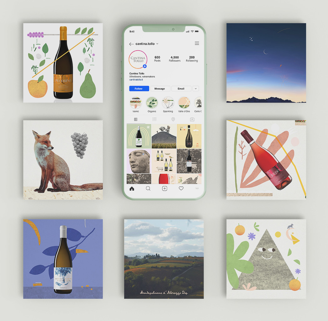 Cantina Tollo — immagine 5
